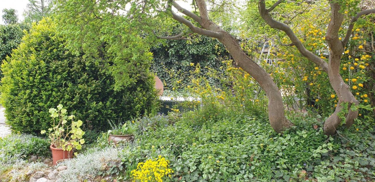 Zakatek Pod Grusza Villa Bedzino Dış mekan fotoğraf