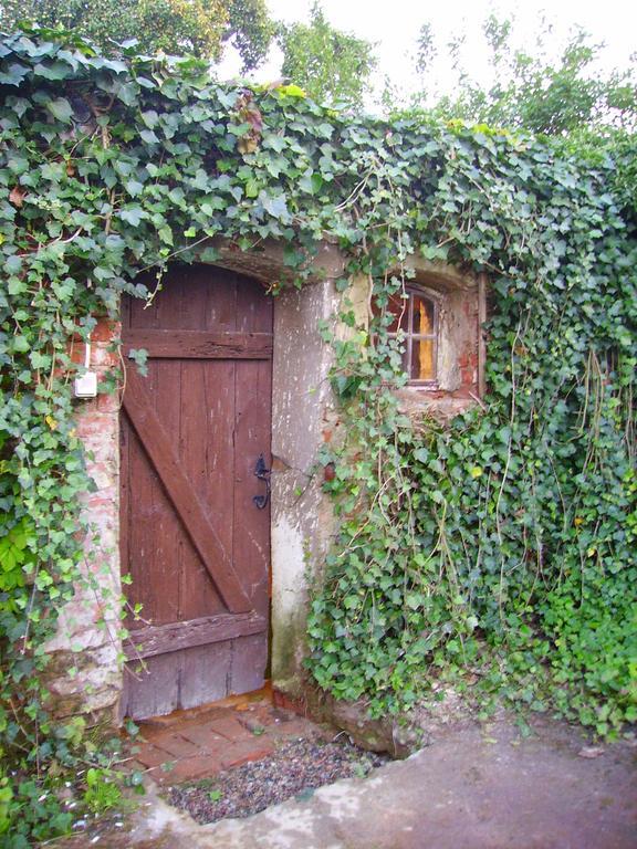 Zakatek Pod Grusza Villa Bedzino Dış mekan fotoğraf